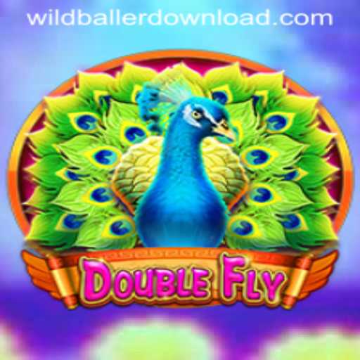 DoubleFly: The Future of Interactive Gaming with Wildballer